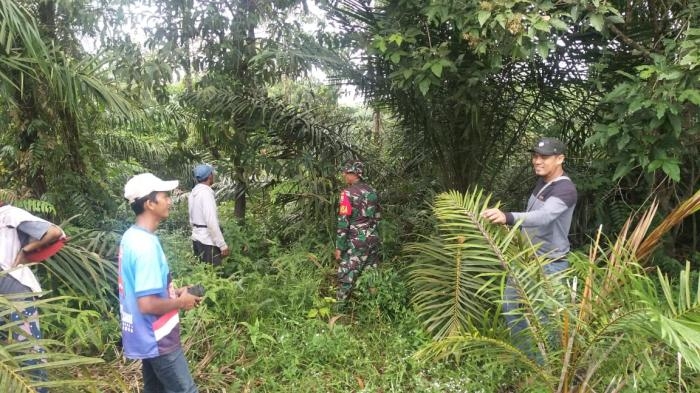 Cegah Titik Api, Babinsa Kampung Mandi Angin Gelar Patroli Karlahut