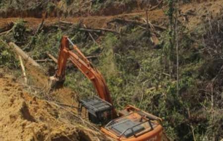 Ramai Aktivis Lingkungan Menentang Sikap Pemerintah yang Mengampuni "Perompak" Hutan 