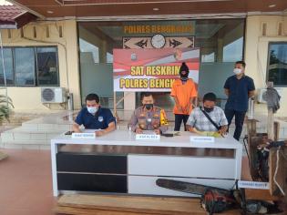 Sat Reskrim Polres Bengkalis, berhasil bekuk 3 orang pelaku illegal loging di Desa Lubuk Gaung
