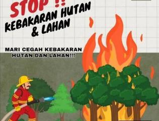 Bupati Bengkalis Kasmarni Keluarkan 5 Poin SE Tentang Antisipasi Karhutla