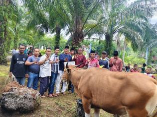 Bupati Bengkalis Kasmarni dan PT BLJ Salurkan Bantuan Hewan Qurban