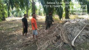 Cegah Kebakaran, Babinsa Desa Ulu Pulau Serda Amat Zamzuri Gelar Patroli Karlahut